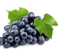VINO " Uva degli Angeli"