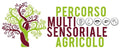OLIO MULTISENSORIALE "Oro degli Angeli"