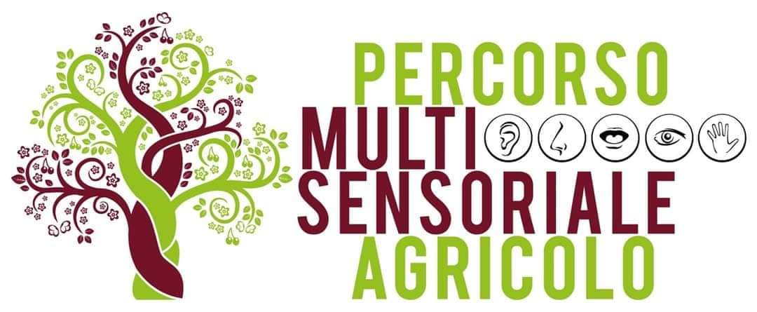 OLIO MULTISENSORIALE "Oro degli Angeli"