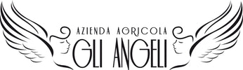 Agricola Gli Angeli – Home